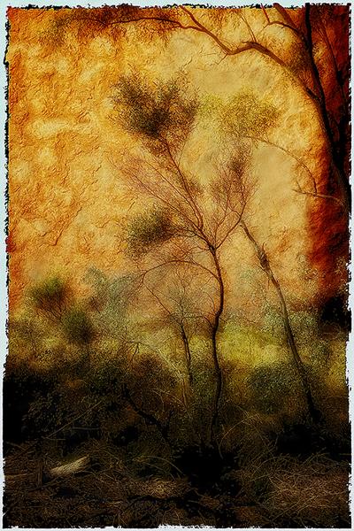 Painted Desert