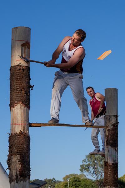 Tree Felling Competitors