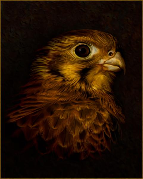 Brown falcon painted effect