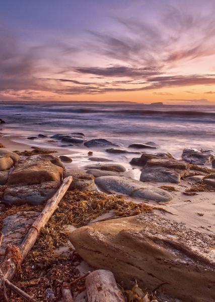 Jenny Dixon Beach North