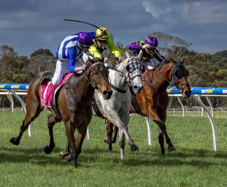 Jockeys - Neck and neck
