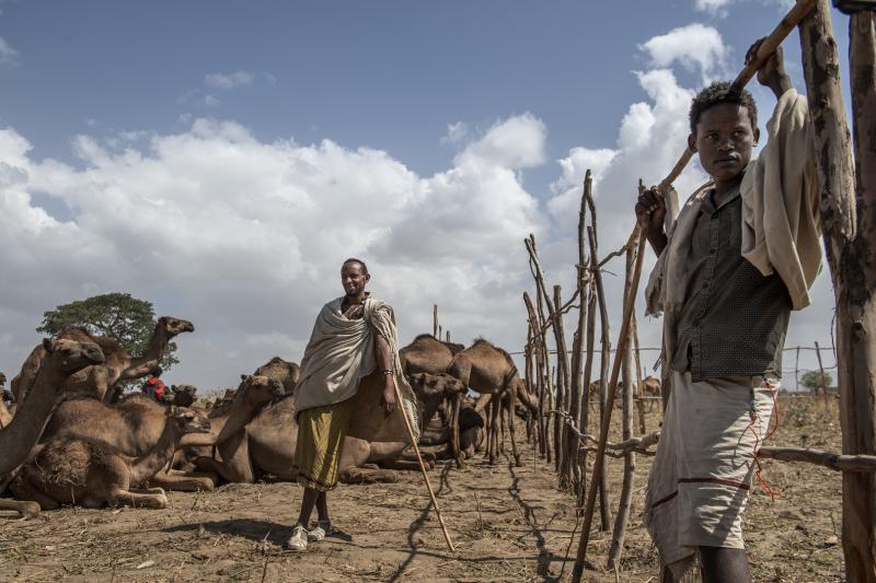 Living in Ethiopia2