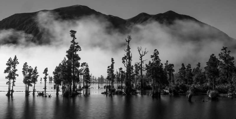 Clearing Fog