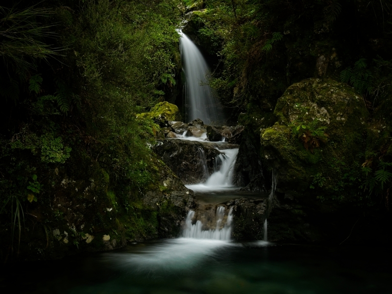 Avalanche Creek Falls 1