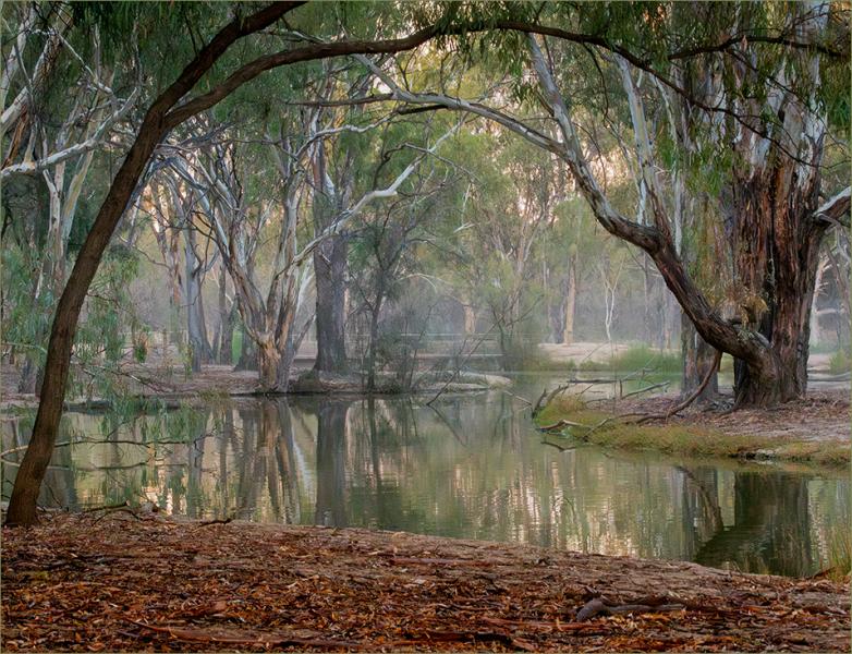 Riverside Tranquility