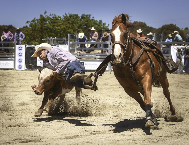 Steer Wrestler
