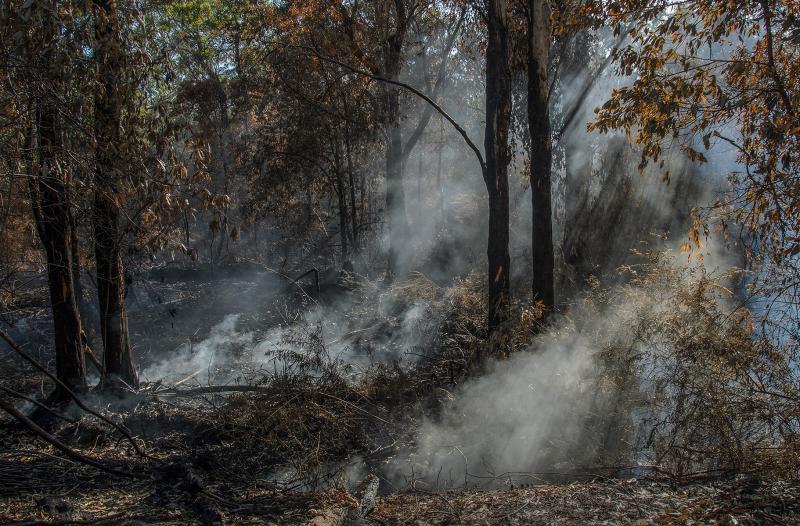 After the Fire