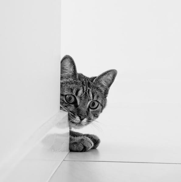 Watching You