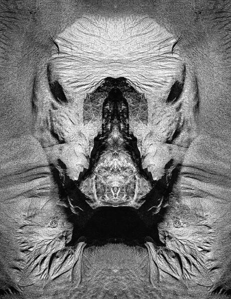 Metamorphisis