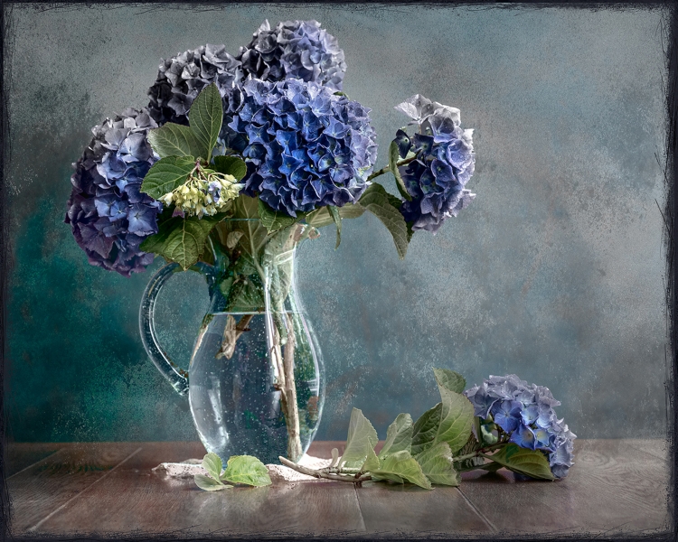 Blue Hydrangeas