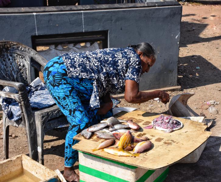 Negombo fish market