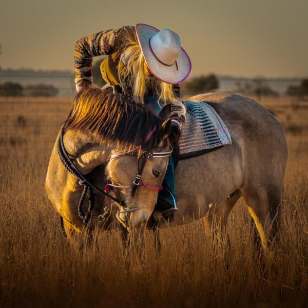 the last cattle drive