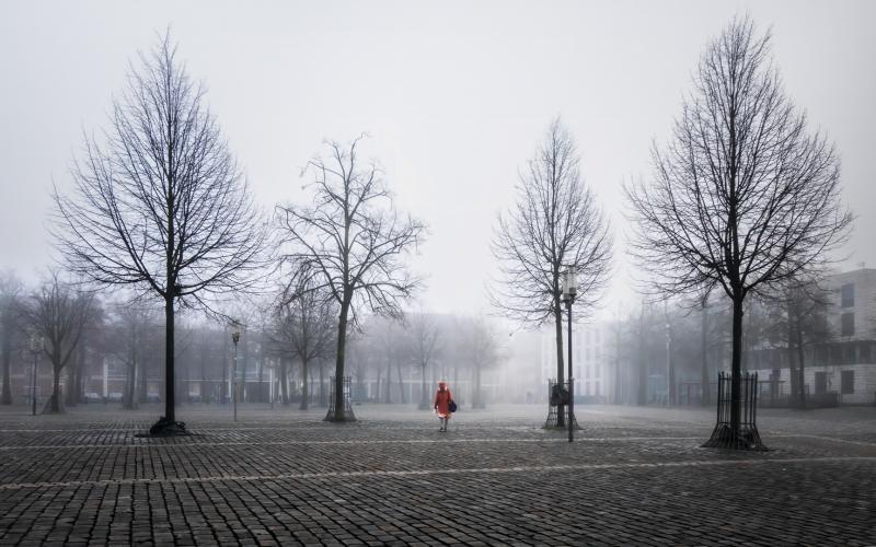 Foggy Munster