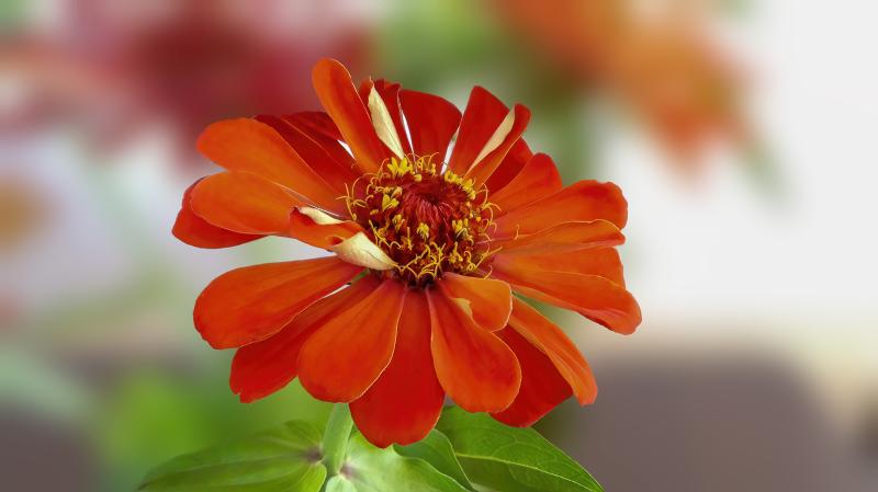 A Touch of Summer