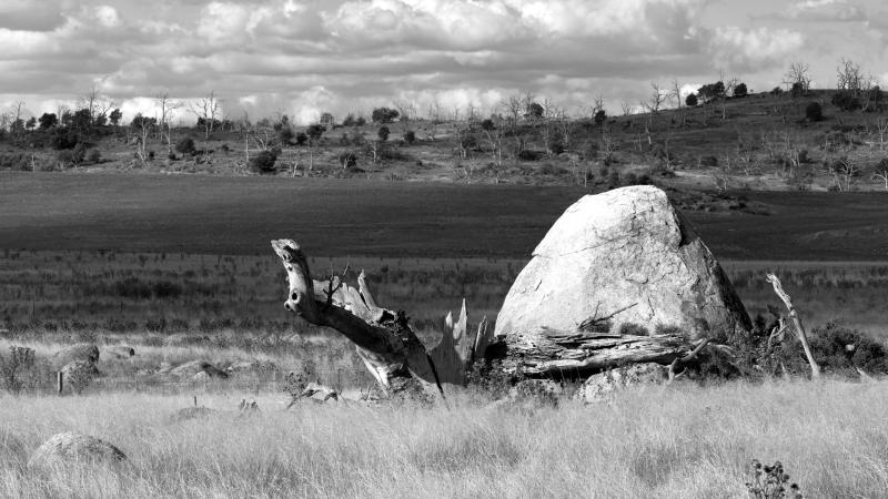 Cleared and Uncleared Land NSW