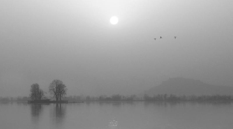 Ethereal Lake