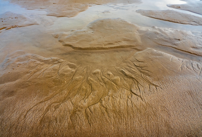 Sand Tracks