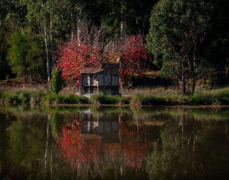 Platypus Hide