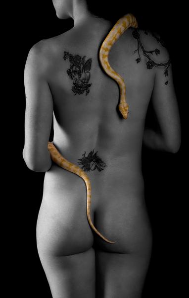 Katies Snake