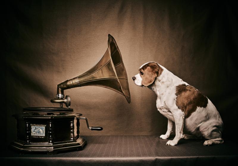 Her Master Voice