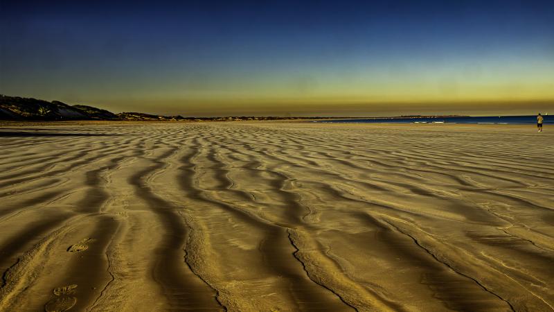 Tracks to Nowhere