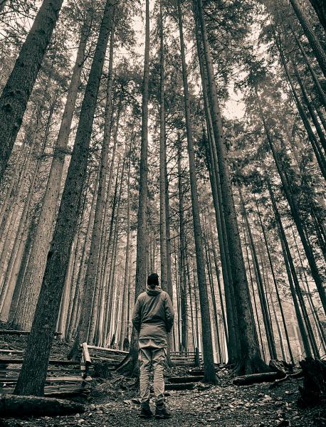 Standing among giants