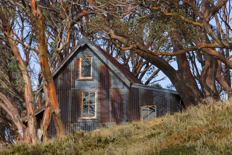 A Home Amongst The Gum Trees