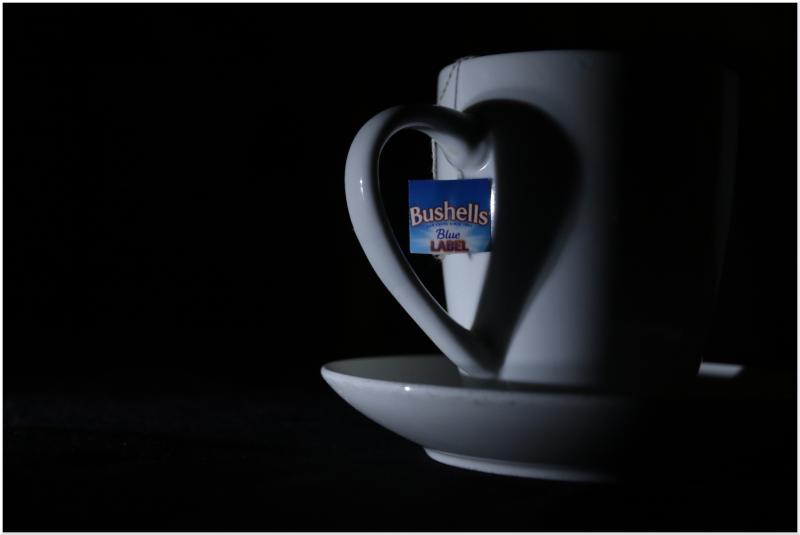 I love a cup of Bushells