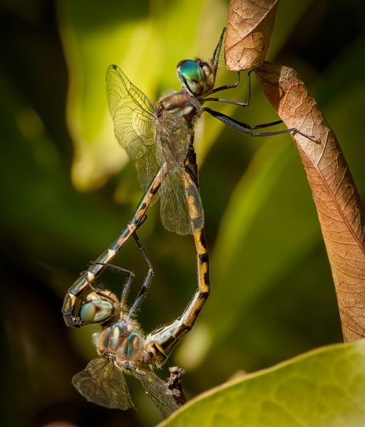 It takes two to tango