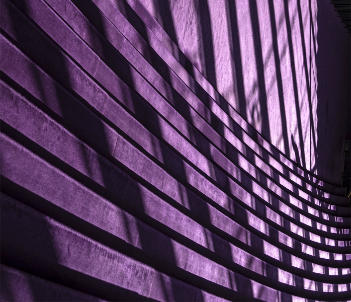 Purple Rows