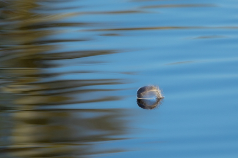 Drifting Away
